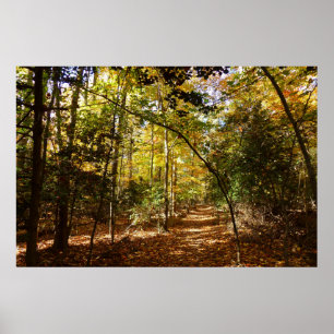 Pôster Parque Greenbelt no Outono I Paisagem de Maryland