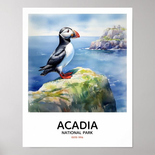 Poster Parque Nacional Acadia - Puffin Empurrado (Frente)