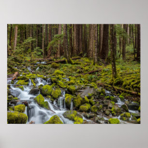 Poster Parque Nacional da olimpiadas, Estado de Washingto