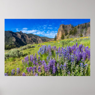 Poster Parque Nacional das Flores Selvagens de Yellowston