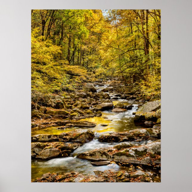 Poster Parque Nacional das Grandes Montanhas Fumos. Big C (Frente)
