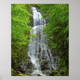 Pôster Parque Nacional das Montanhas de Fumaça Excelente