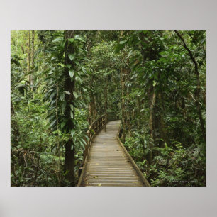 Poster Parque nacional de Daintree (património mundial 2