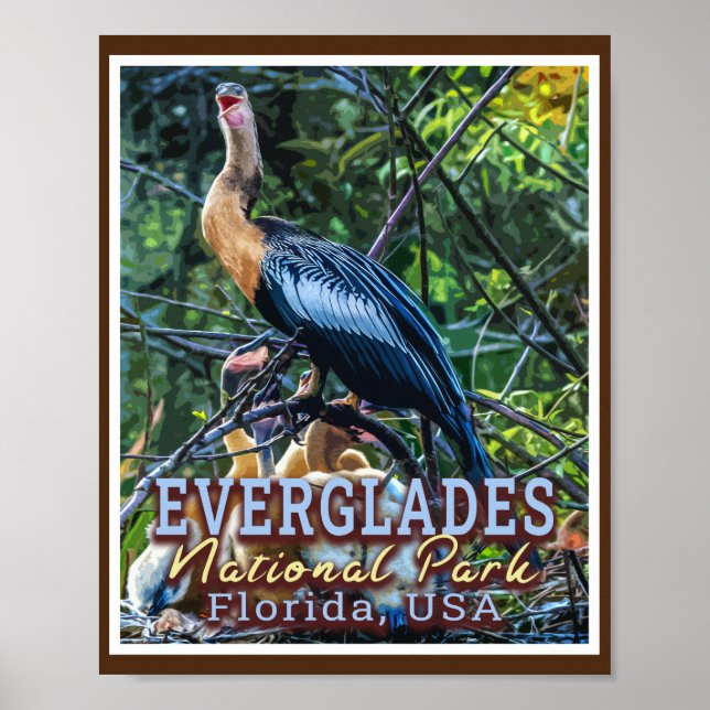 POSTER PARQUE NACIONAL DE EVERGLADES - FLÓRIDA ESTADOS UN (Frente)