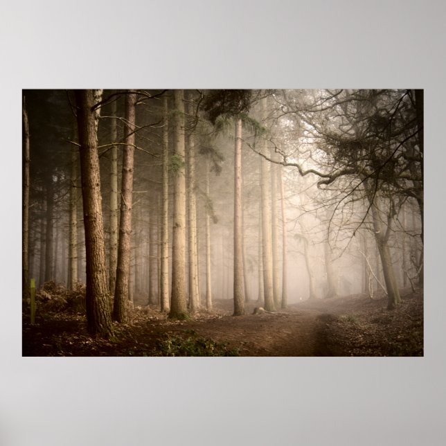 Poster Parque Nacional de Rushmere, Foggy Morning (0842) (Frente)