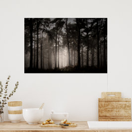 Poster Parque Nacional de Rushmere, Foggy Woodland (0872)