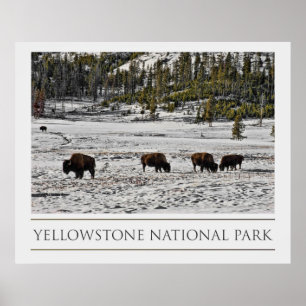 Pôster Parque nacional de Yellowstone