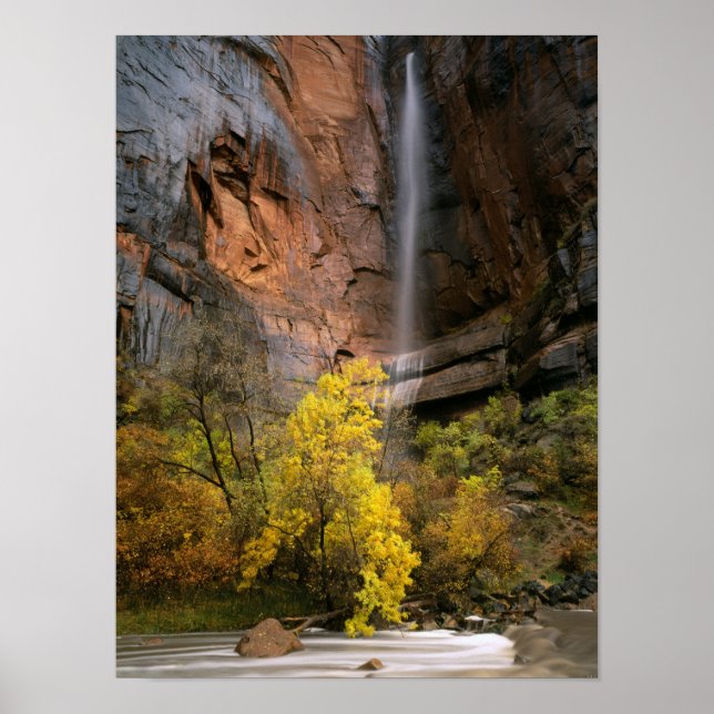Pôster Parque Nacional de Zion, Utah. EUA. Efêmero (Frente)