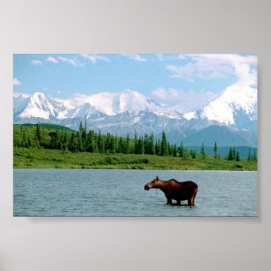 Pôster Parque Nacional Denali