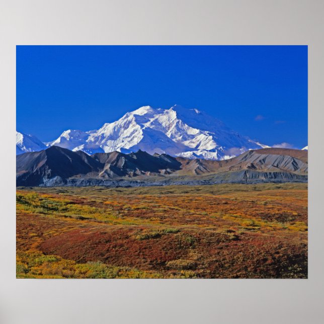 Poster Parque Nacional Denali Mt. McKinley, Alasca. (Frente)