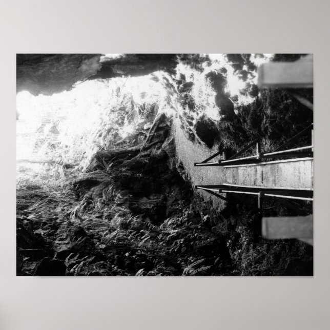 Pôster Parque Nacional do Havaí, Vista de um Tubo de Lava (Frente)