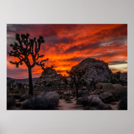Poster Parque Nacional do Joshua Tree Red Sunset