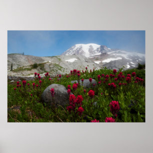 Poster Parque Nacional do Monte Rainier, Monte Rainier 1