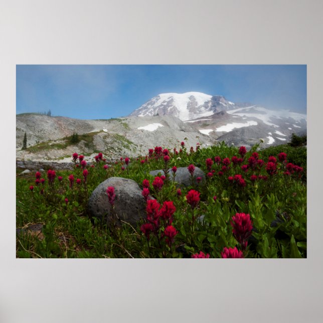 Poster Parque Nacional do Monte Rainier, Monte Rainier 1 (Frente)