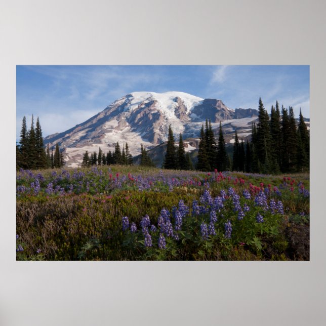 Poster Parque Nacional do Monte Rainier, Monte Rainier 3 (Frente)