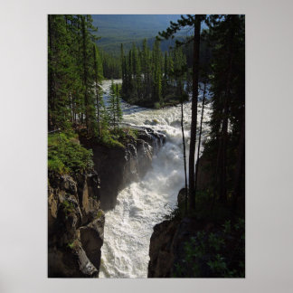 Poster Parque Nacional do Sunwapta Falls Jasper