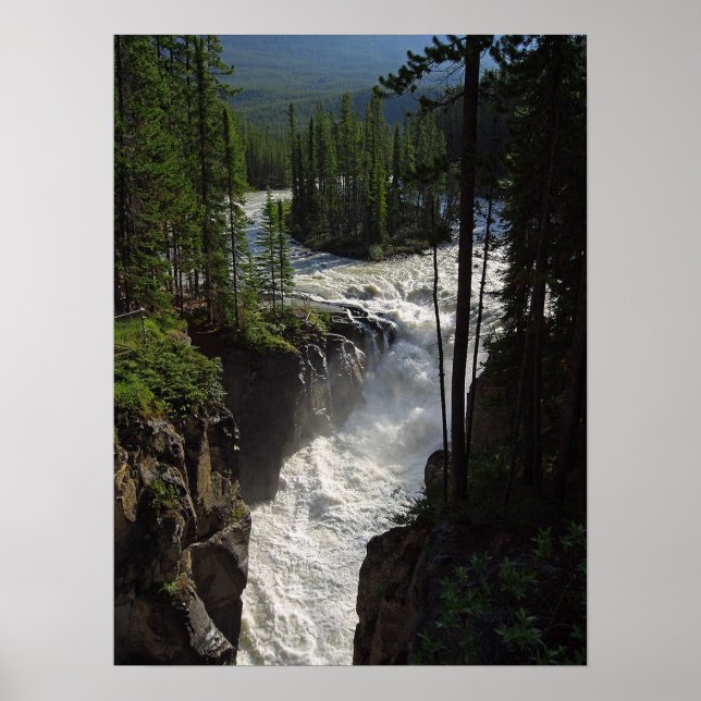Poster Parque Nacional do Sunwapta Falls Jasper (Frente)