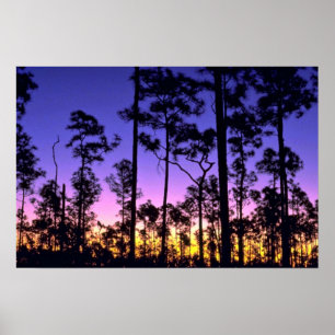Poster Parque nacional dos marismas, área de Pinelands,