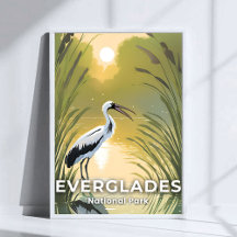 Parque Nacional Everglades | Cegonha em Aquarela