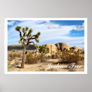 Poster Parque Nacional Joshua Tree
