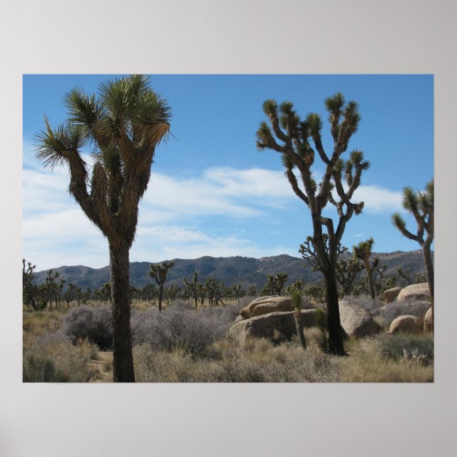 Poster Parque Nacional Joshua Tree (Frente)