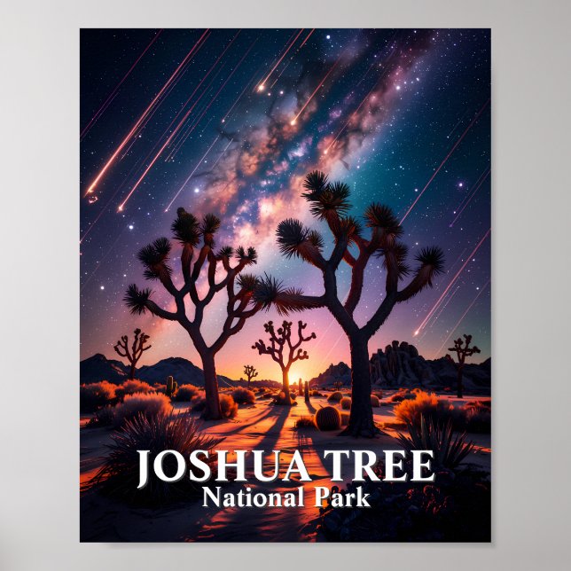 Poster Parque Nacional Joshua Tree Céu Noturno Via Láctea (Frente)