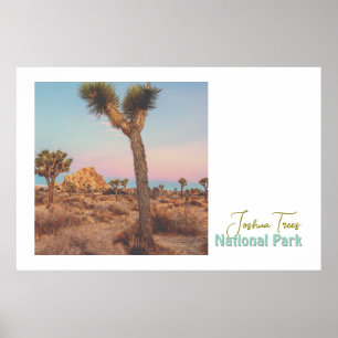 Poster Parque Nacional Joshua Trees