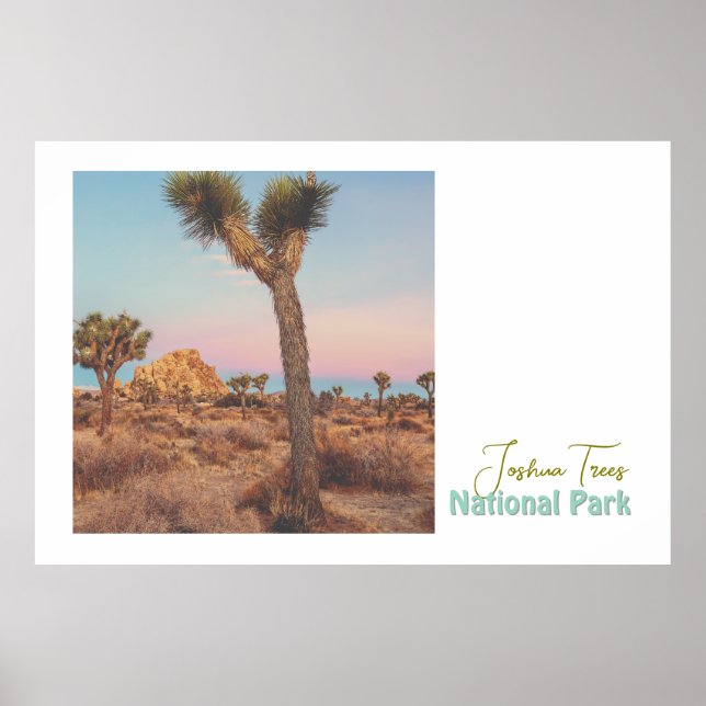 Poster Parque Nacional Joshua Trees (Frente)