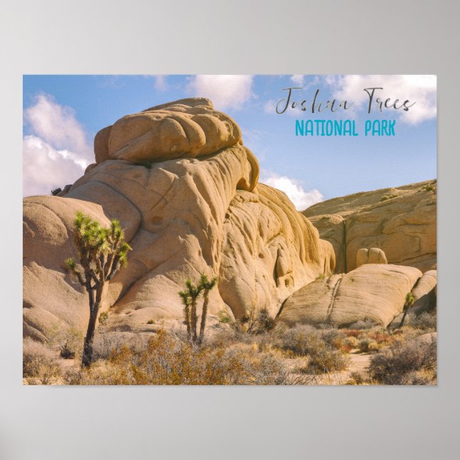Poster Parque Nacional Joshua Trees (Frente)