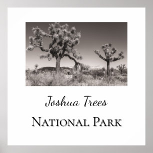 Poster Parque Nacional Joshua Trees