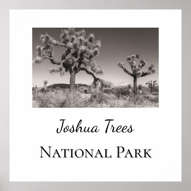 Poster Parque Nacional Joshua Trees (Frente)