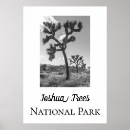 Poster Parque Nacional Joshua Trees