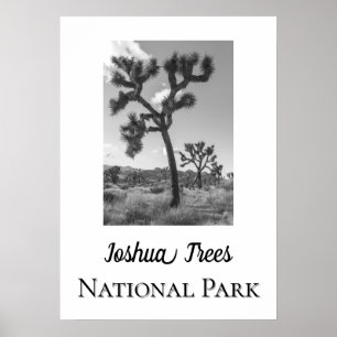 Poster Parque Nacional Joshua Trees