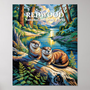 Poster Parque Nacional Redwood Animais Lontras Estilo Van