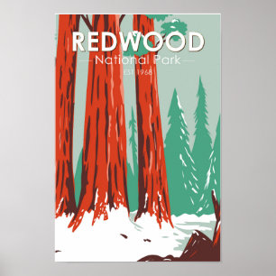 Poster Parque Nacional Redwood no Inverno Califórnia Vint