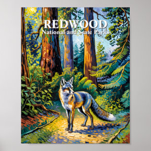 Poster Parque Nacional Redwood Van Gogh Floresta Raposa P