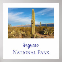 Parque nacional Saguaro