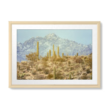 Parque Nacional Saguaro