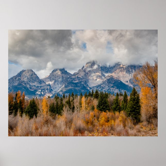 Poster Parque Nacional Schwabacher Landing Grand Teton (Frente)
