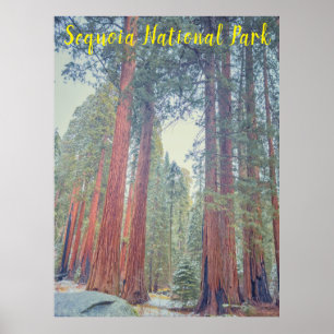 Poster Parque Nacional Sequoia