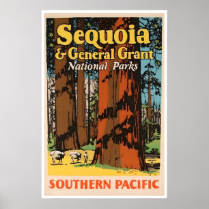 Poster Parque Nacional Sequoia Cartaz de Viagem Califórni