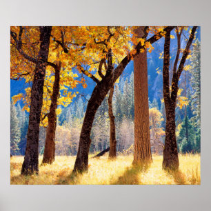 Pôster Parque Nacional Yosemite