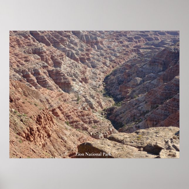 Poster Parque Nacional Zion (Frente)