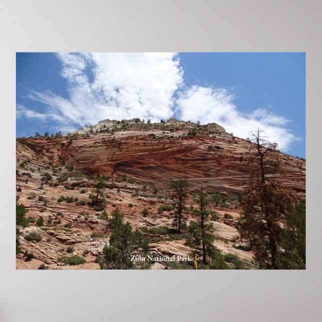 Poster Parque Nacional Zion (Frente)