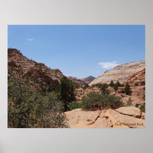 Poster Parque Nacional Zion (Frente)
