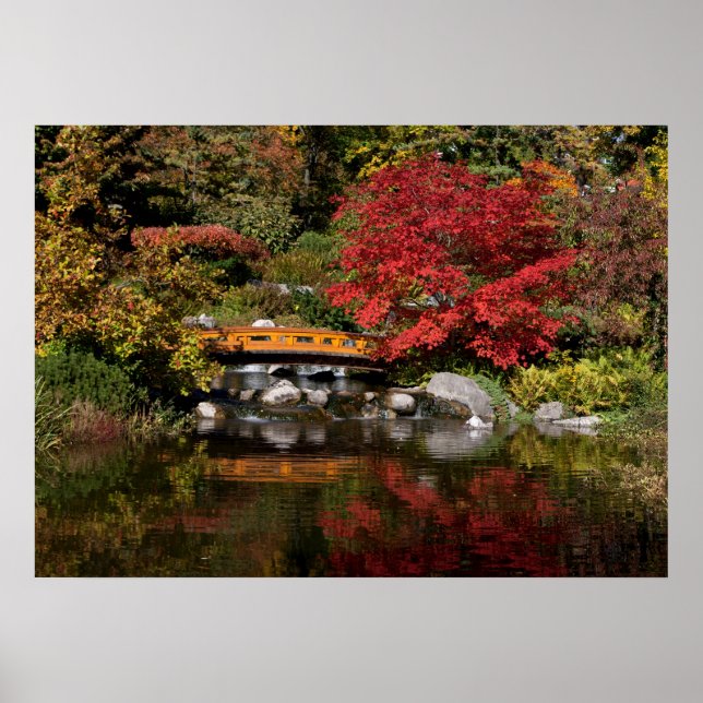 Pôster Parque Setagaya (Frente)