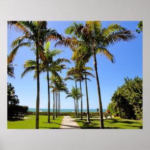 POSTER PARQUE TROPICAL DA FLORIDA BEACH PALM TREE