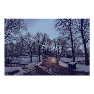 Pôster Parque urbano nevado no inverno à noite