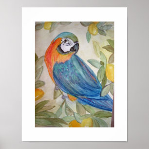 Pôster Parrot and Lemons