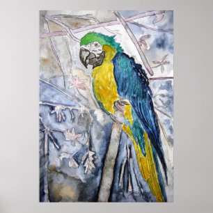 Pôster parrot_bird_painting